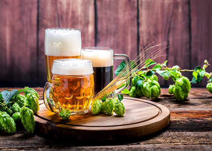 Bier – Alkohol – Spirituosen – Getränk – Hopfen – Gerste – Stut